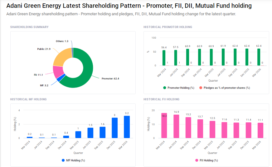 Adani Green Shareholding Pattern
