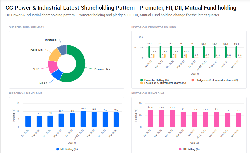 CG Power Shareholding Pattern