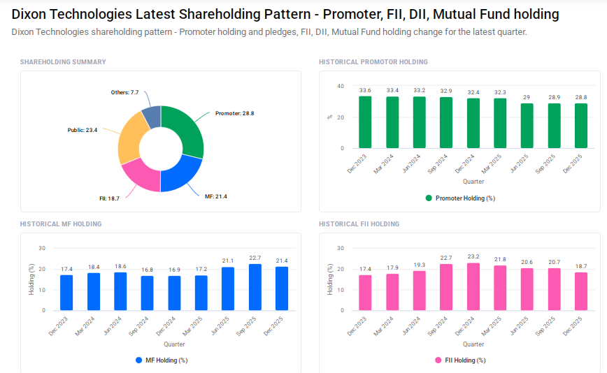 Dixon Shareholding Pattern