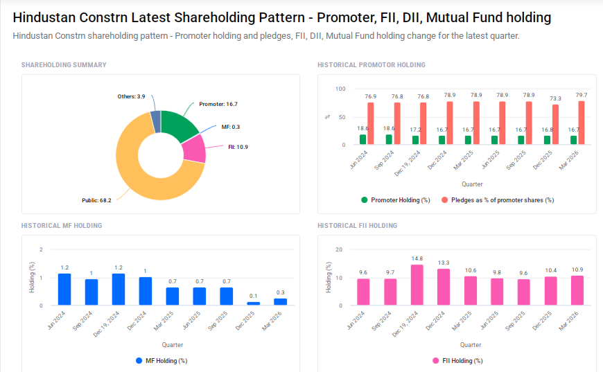 HCC Shareholding Pattern