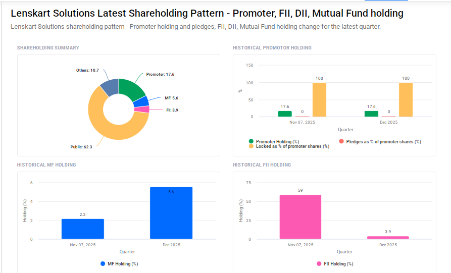 Lenskart Shareholding Pattern