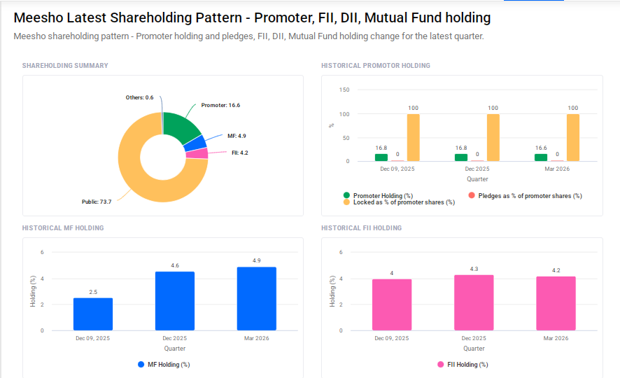 Meesho Shareholding Pattern