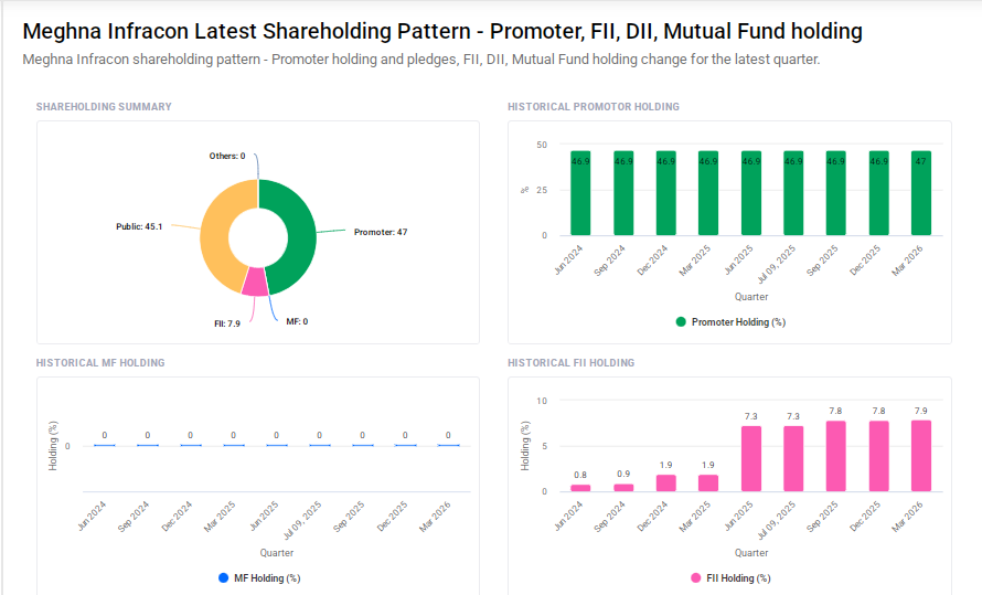 Meghna Infracon Shareholding Pattern