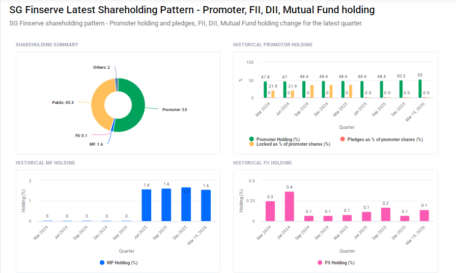SG Finserve Shareholding Pattern