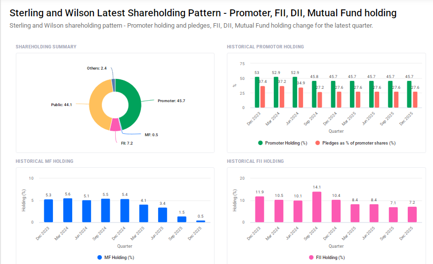 SWSOLAR Shareholding Pattern