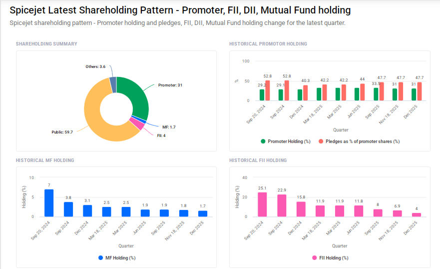 Spicejet Shareholding Pattern