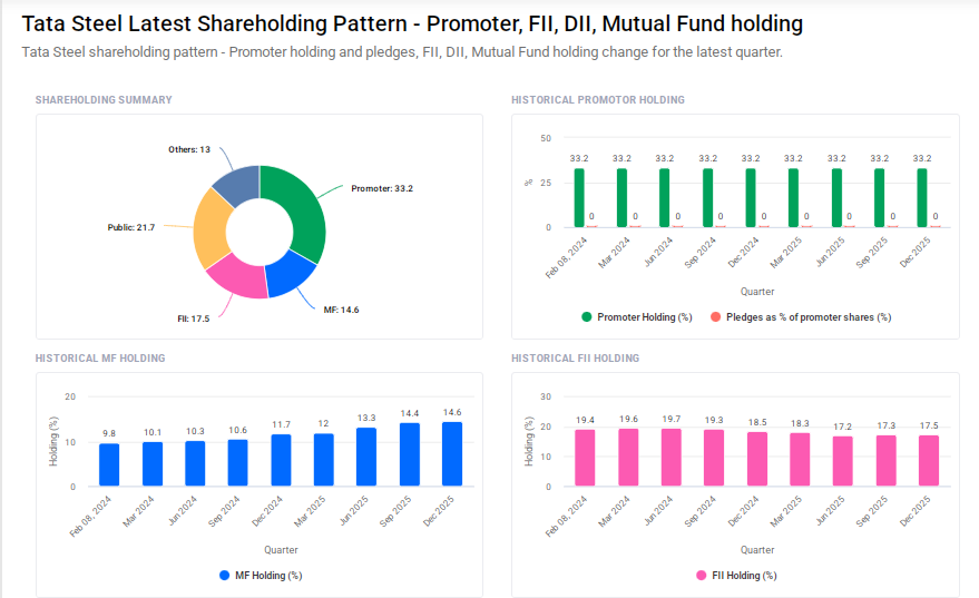 Tata Steel Shareholding Pattern