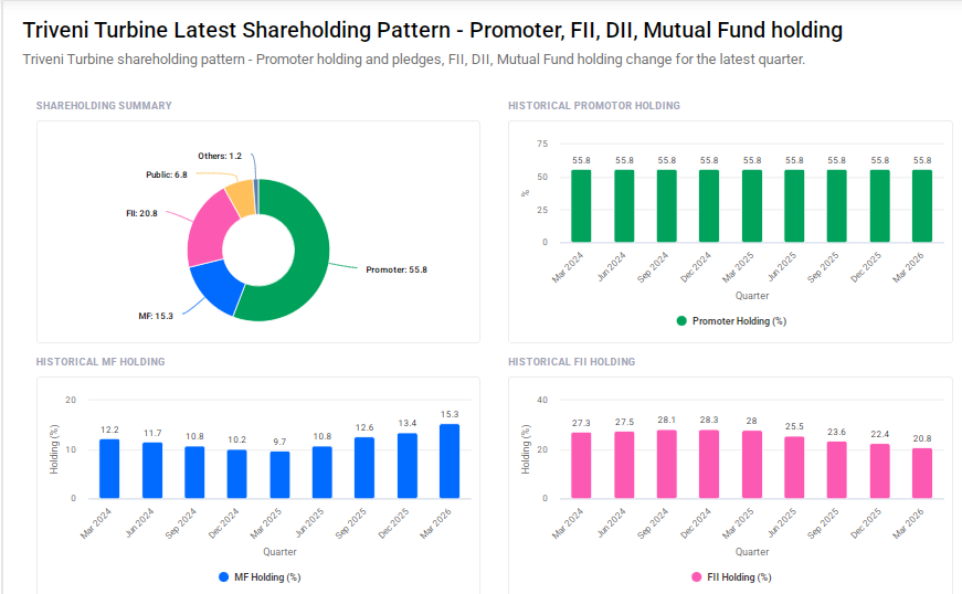 Triveni Trubine Shareholding Pattern