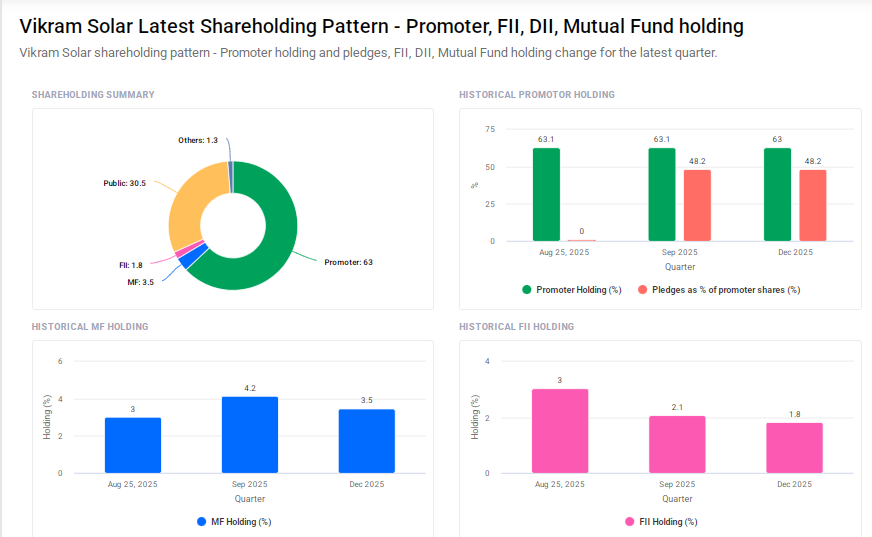 Vikram Solar Shareholding Pattern