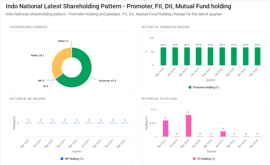 Indo National Shareholding Pattern