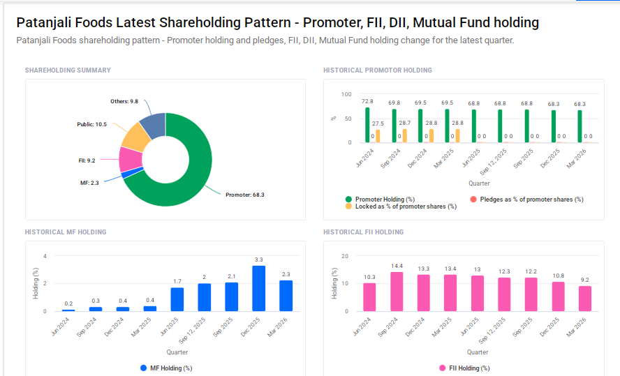 Patanjail Foods Shareholding Pattern