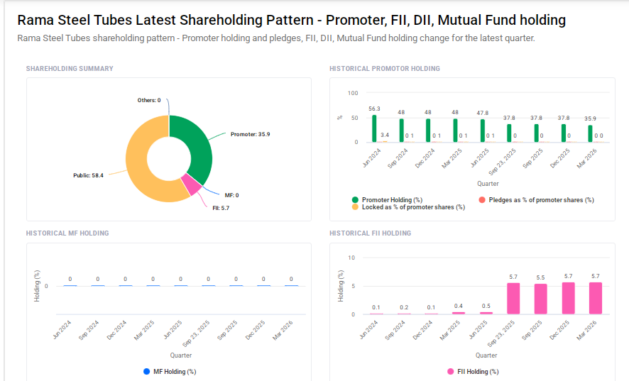 Rama Steel Shareholding Pattern