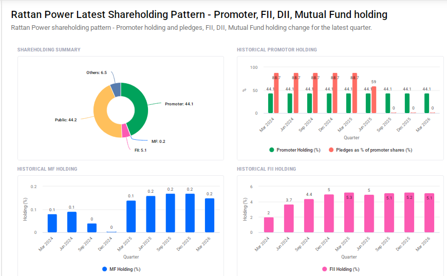 Rattanindia Power Shareholding Pattern