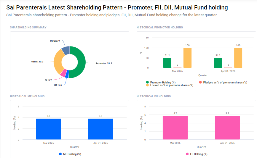Sai Parenterals Shareholding Pattern