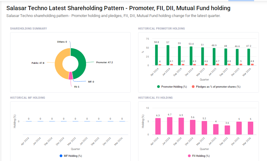 Salasar Techno Shareholding Pattern