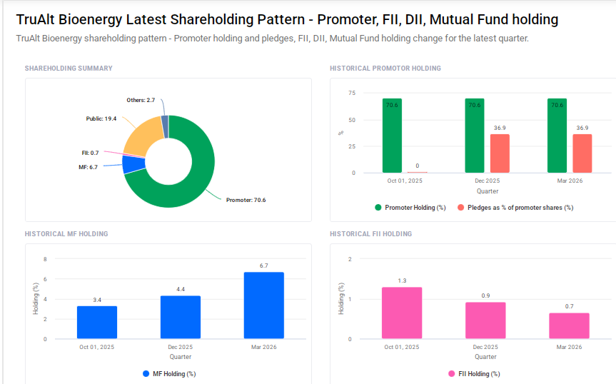 TruAlt Bioenergy Shareholding Pattern