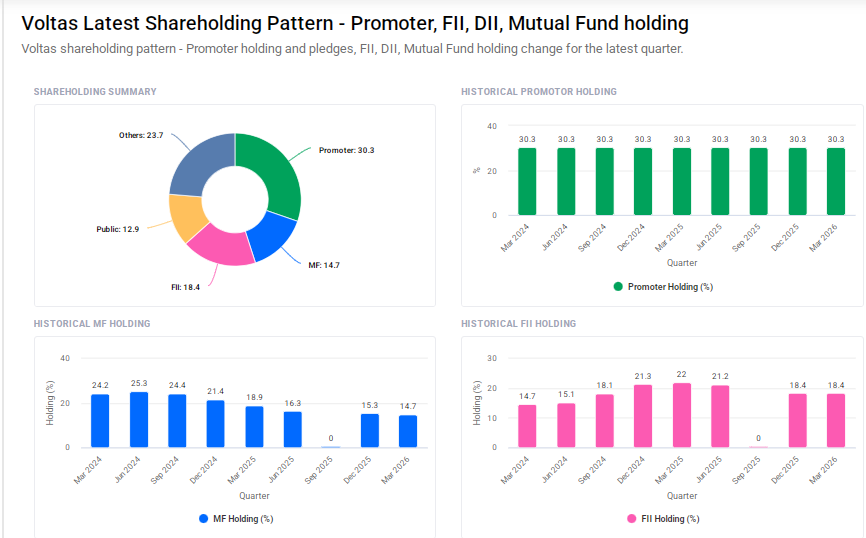 Voltas Shareholding Pattern