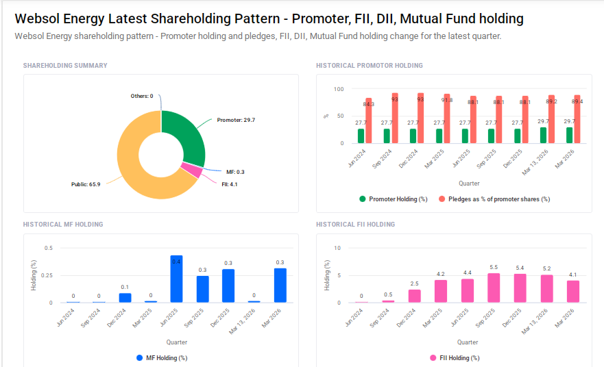 Websol Energy Shareholding Pattern